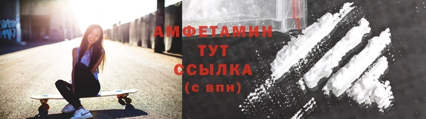 шишки Медногорск