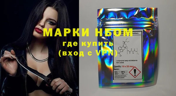 шишки Медногорск